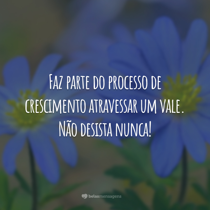 Faz parte do processo de crescimento atravessar um vale. Não desista nunca!