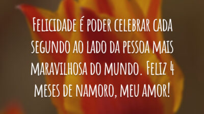 Felicidade é poder celebrar cada segundo ao lado da pessoa mais maravilhosa do mundo. Feliz 4 meses de namoro, meu amor!