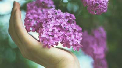 40 frases de bem-vinda, primavera, para celebrar a estação das flores