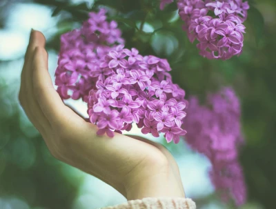 40 frases de bem-vinda, primavera, para celebrar a estação das flores