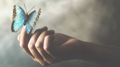 50 frases de humildade para status repletas de lições de vida
