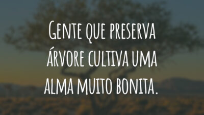 Gente que preserva árvore cultiva uma alma muito bonita.