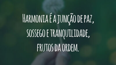 Harmonia é a junção de paz, sossego e tranquilidade, frutos da ordem.