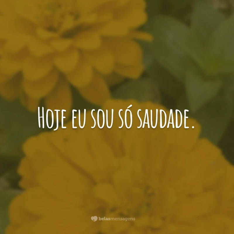 Hoje eu sou só saudade.