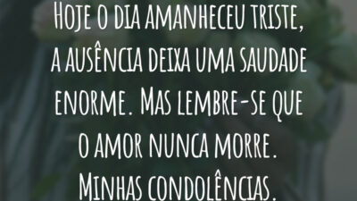 Hoje o dia amanheceu
triste, a ausência deixa uma saudade enorme. Mas lembre-se que o amor nunca morre. Minhas condolências.