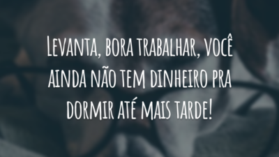 Levanta, bora trabalhar, você ainda não tem dinheiro pra dormir até mais tarde!