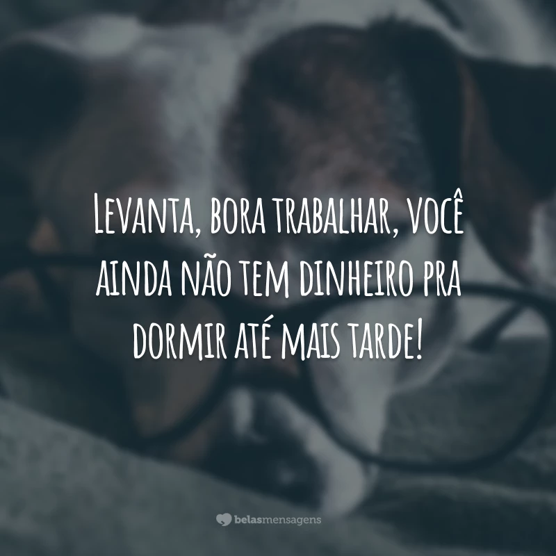 Levanta, bora trabalhar, você ainda não tem dinheiro pra dormir até mais tarde!