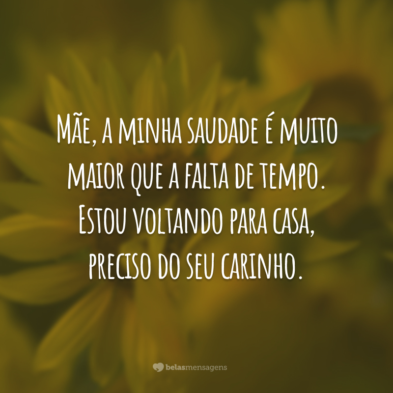 Mãe, a minha saudade é muito maior que a falta de tempo. Estou voltando para casa, preciso do seu carinho.