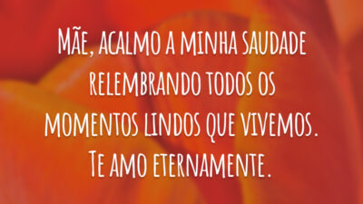 Mãe, acalmo a minha saudade relembrando todos os momentos lindos que vivemos. Te amo eternamente.