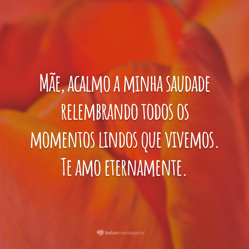 Mãe, acalmo a minha saudade relembrando todos os momentos lindos que vivemos. Te amo eternamente.