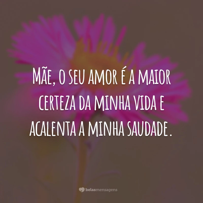 Mãe, o seu amor é a maior certeza da minha vida e acalenta a minha saudade.