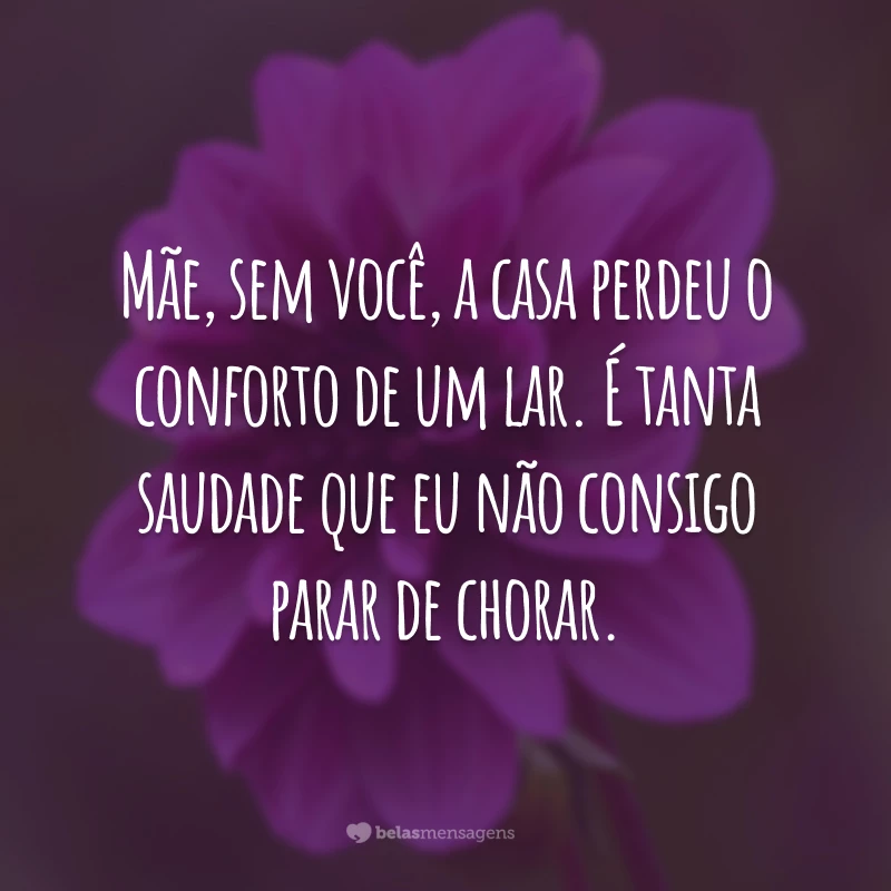 Mãe, sem você, a casa perdeu o conforto de um lar. É tanta saudade que eu não consigo parar de chorar.