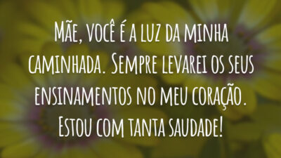 Mãe, você é a luz da minha caminhada. Sempre levarei os seus ensinamentos no meu coração. Estou com tanta saudade.