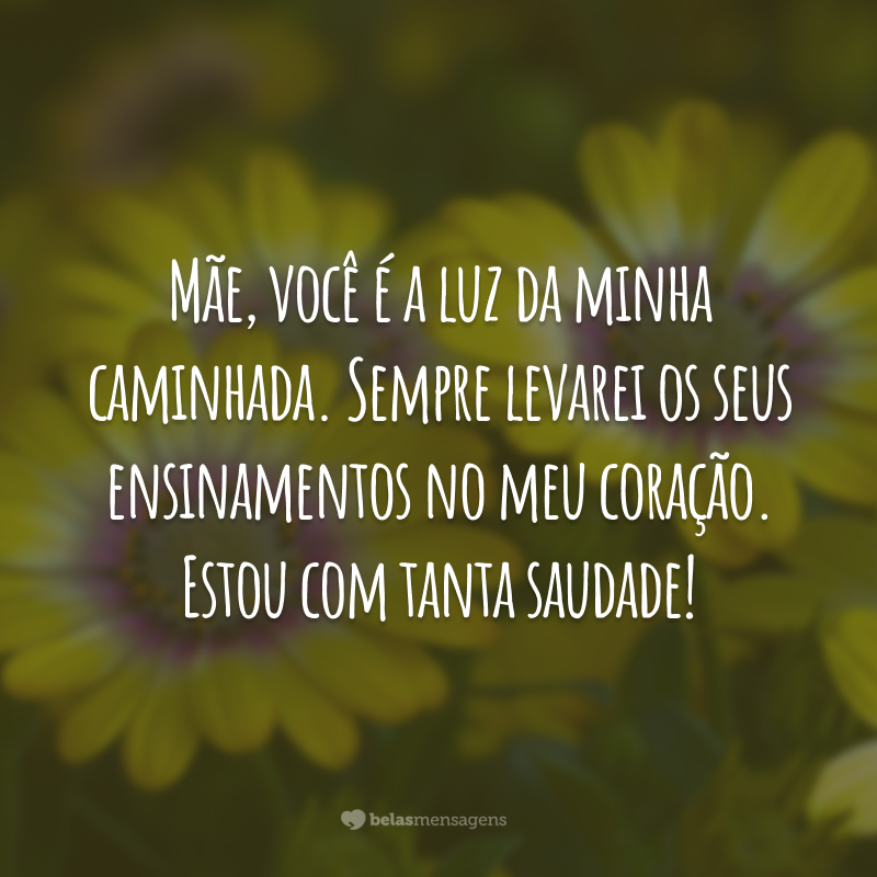 Mãe, você é a luz da minha caminhada. Sempre levarei os seus ensinamentos no meu coração. Estou com tanta saudade.