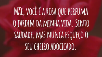 Mãe, você é a rosa que perfuma o jardim da minha vida. Sinto saudade, mas nunca esqueço o seu cheiro adocicado.