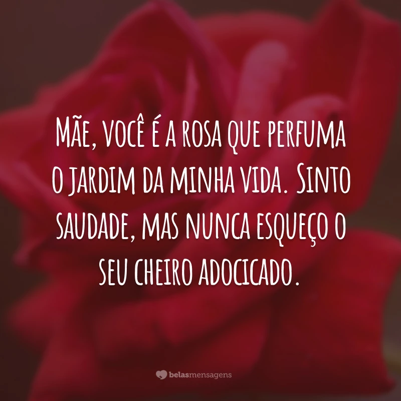 Mãe, você é a rosa que perfuma o jardim da minha vida. Sinto saudade, mas nunca esqueço o seu cheiro adocicado.