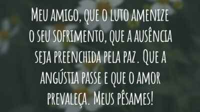 Meu amigo, que o luto amenize o seu sofrimento, que a ausência seja preenchida pela paz. Que a angústia passe e que o amor prevaleça. Meus pêsames!