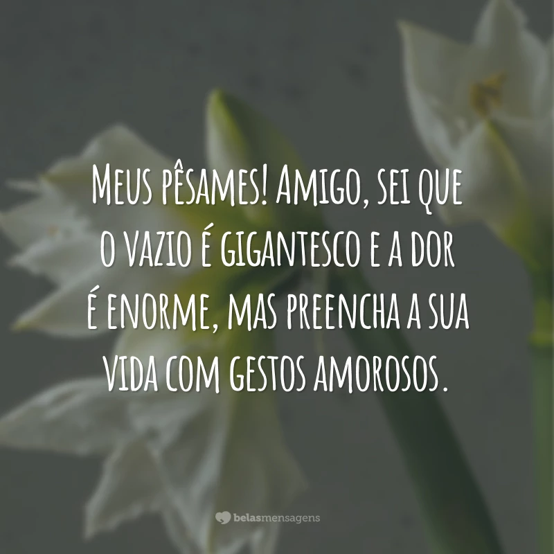 Meus pêsames! Amigo, sei que o vazio é gigantesco e a dor é enorme, mas preencha a sua vida com gestos amorosos.