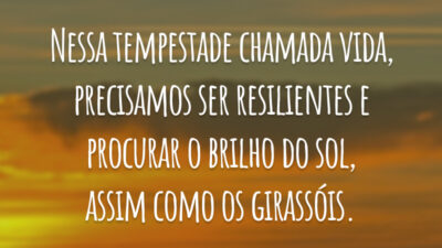 Nessa tempestade chamada vida, precisamos ser resilientes e procurar o brilho do sol, assim como os girassóis.