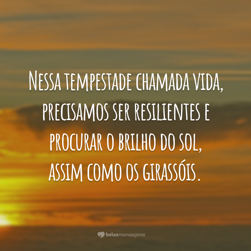 Nessa tempestade chamada vida, precisamos ser resilientes e procurar o brilho do sol, assim como os girassóis.