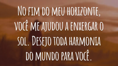 No fim do meu horizonte, você me ajudou a enxergar o sol. Desejo toda harmonia do mundo para você.