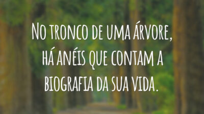 No tronco de uma árvore, há anéis que contam a biografia da sua vida.