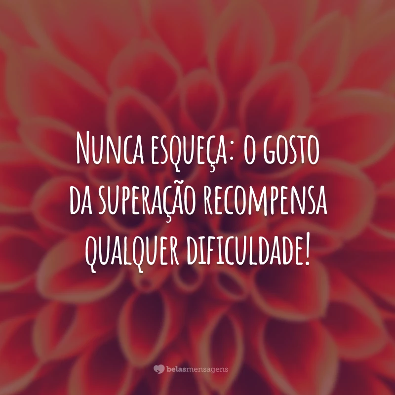 Nunca esqueça: o gosto da superação recompensa qualquer dificuldade!