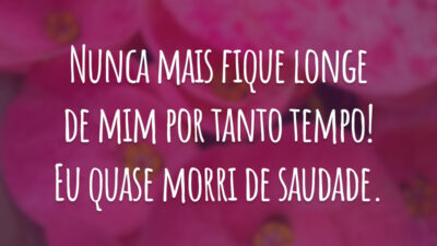 Nunca mais fique longe de mim por tanto tempo! Eu quase morri de saudade.