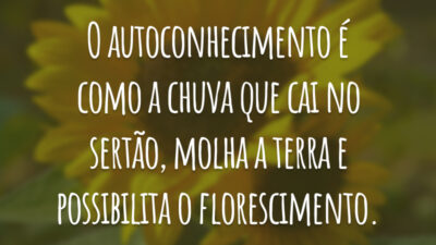 O autoconhecimento é como a chuva que cai no sertão, molha a terra e possibilita o florescimento.