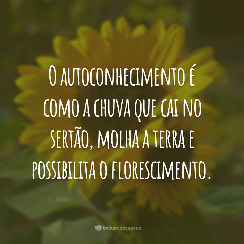 O autoconhecimento é como a chuva que cai no sertão, molha a terra e possibilita o florescimento.