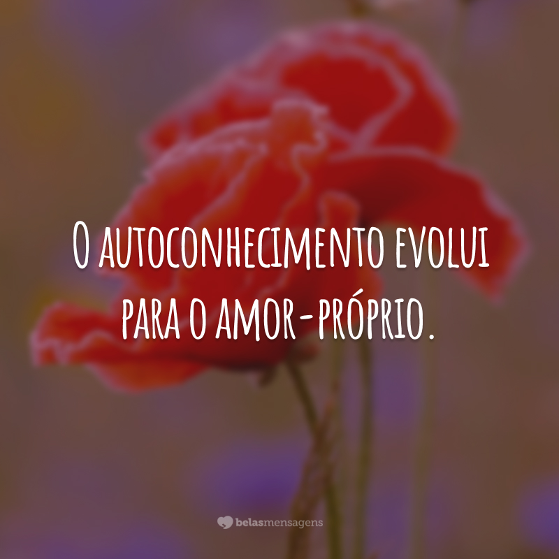 O autoconhecimento evolui para o amor-próprio.