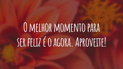 O melhor momento para ser feliz é o agora. Aproveite!