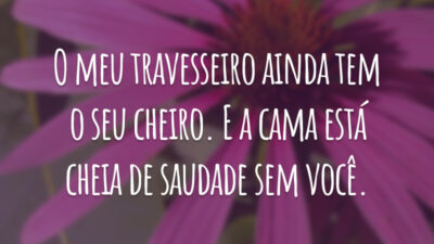 O meu travesseiro ainda tem o seu cheiro. E a cama está cheia de saudade sem você.