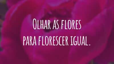 Olhar as flores para florescer igual.
