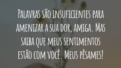 Palavras são insuficientes para amenizar a sua dor, amiga. Mas saiba que meus sentimentos estão com você. Meus pêsames!