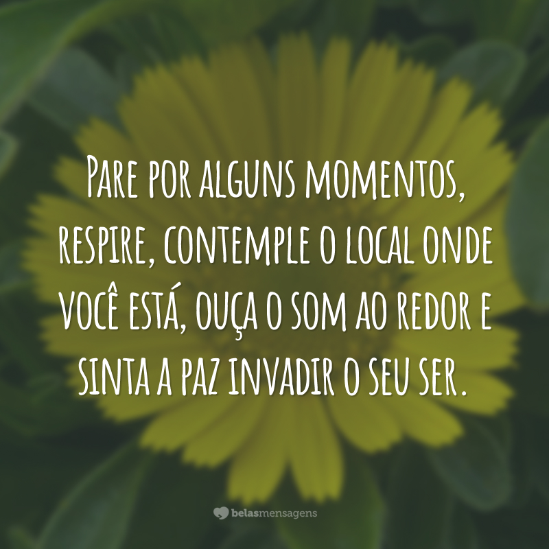 Pare por alguns momentos, respire, contemple o local onde você está, ouça o som ao redor e sinta a paz invadir o seu ser.