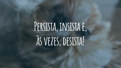 Persista, insista e, às vezes, desista!