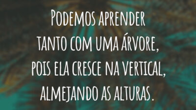Podemos aprender tanto com uma árvore, pois ela cresce na vertical, almejando as alturas.