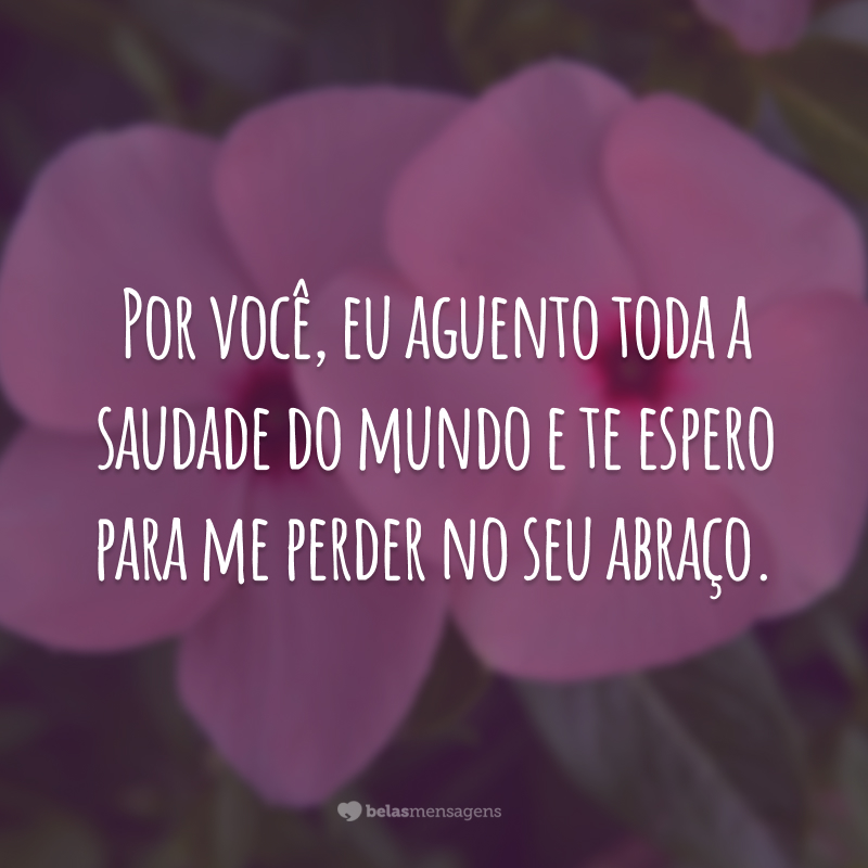 Por você, eu aguento toda a saudade do mundo e te espero para me perder no seu abraço.