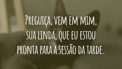 Preguiça, vem em mim, sua linda, que eu estou pronta para a sessão da tarde.