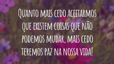 Quanto mais cedo aceitarmos que existem coisas que não podemos mudar, mais cedo teremos paz na nossa vida!