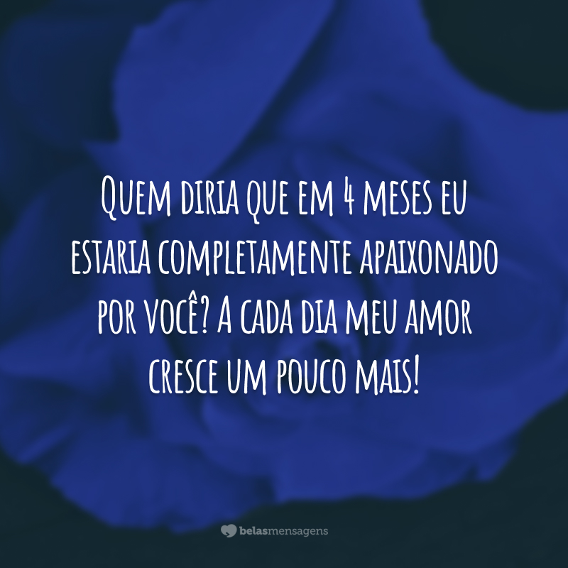 Quem diria que em 4 meses eu estaria completamente apaixonado por você? A cada dia meu amor cresce um pouco mais!