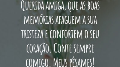 Querida amiga, que as boas memórias afaguem a sua tristeza e confortem o seu coração. Conte sempre comigo. Meus pêsames!