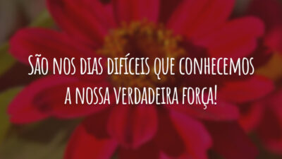 São nos dias difíceis que conhecemos a nossa verdadeira força!