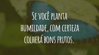 Se você planta humildade, com certeza colherá bons frutos.