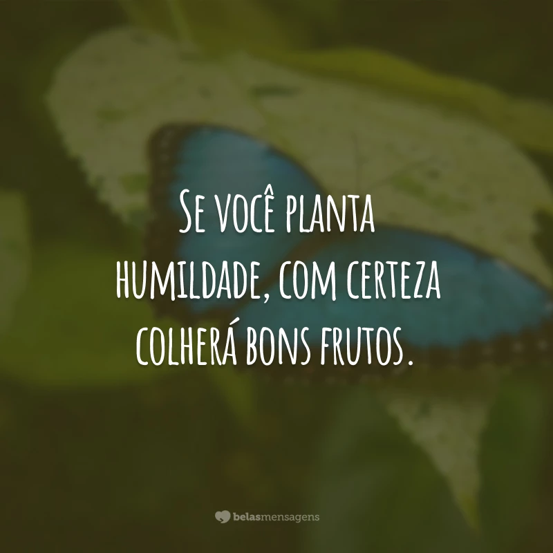 Se você planta humildade, com certeza colherá bons frutos.