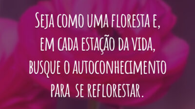 Seja como uma floresta e, em cada estação da vida, busque o autoconhecimento para  se reflorestar.