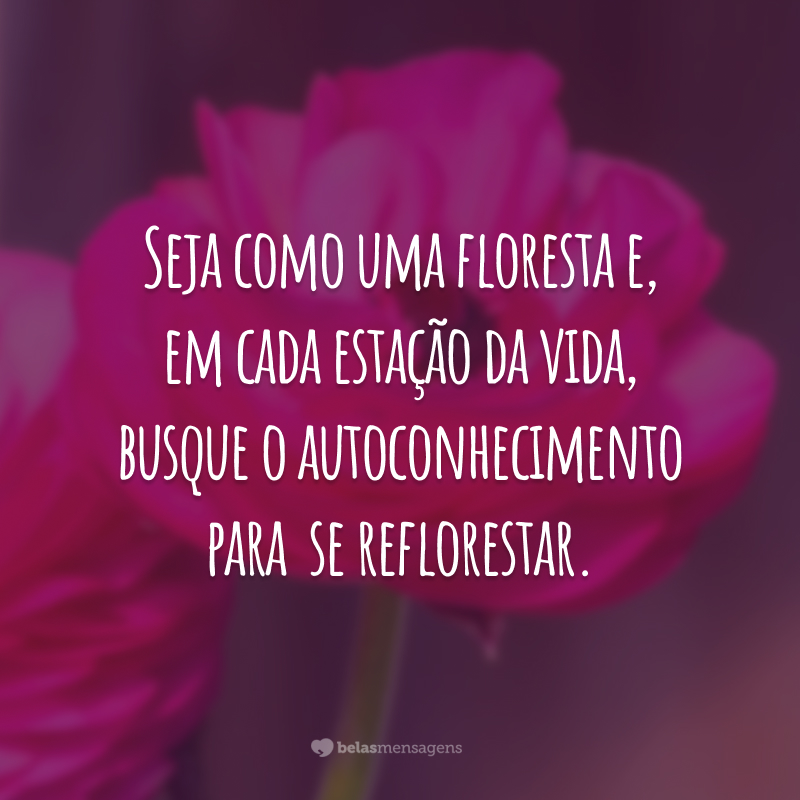 Seja como uma floresta e, em cada estação da vida, busque o autoconhecimento para  se reflorestar.