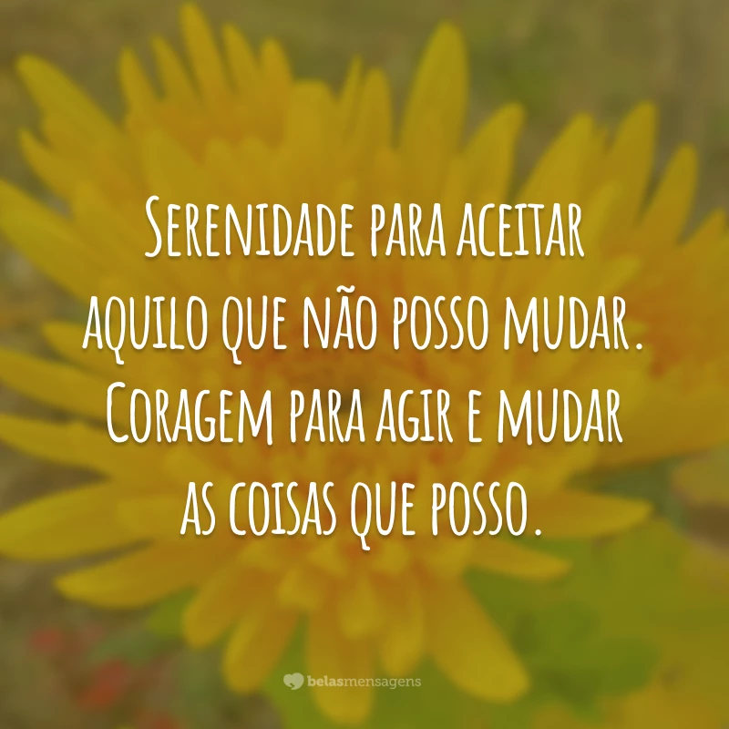 Serenidade para aceitar aquilo que não posso mudar. Coragem para agir e mudar as coisas que posso.