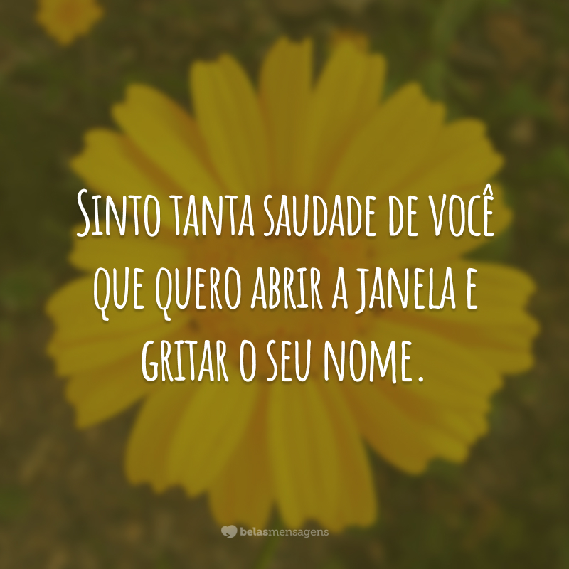 Sinto tanta saudade de você que quero abrir a janela e gritar o seu nome.